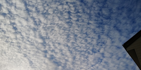 秋空　ウロコ雲　
